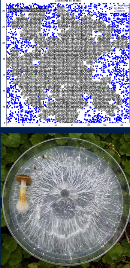 Proyecto Micelial Spread